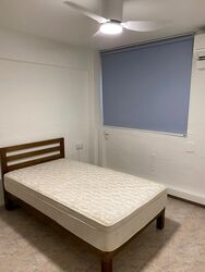 Holland Drive (Queenstown),  #444074541